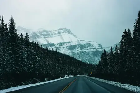 Wildlife crossings over motorways: new paths to harmony between nature and man