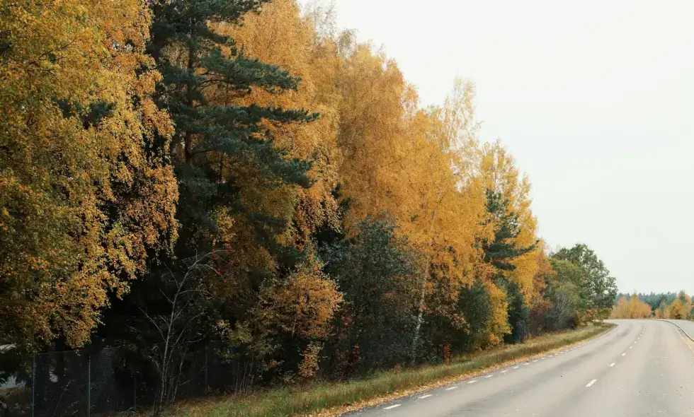 Kladno bölgesindeki D6 otoyolunun büyük yenilemesi geç tamamlandı.