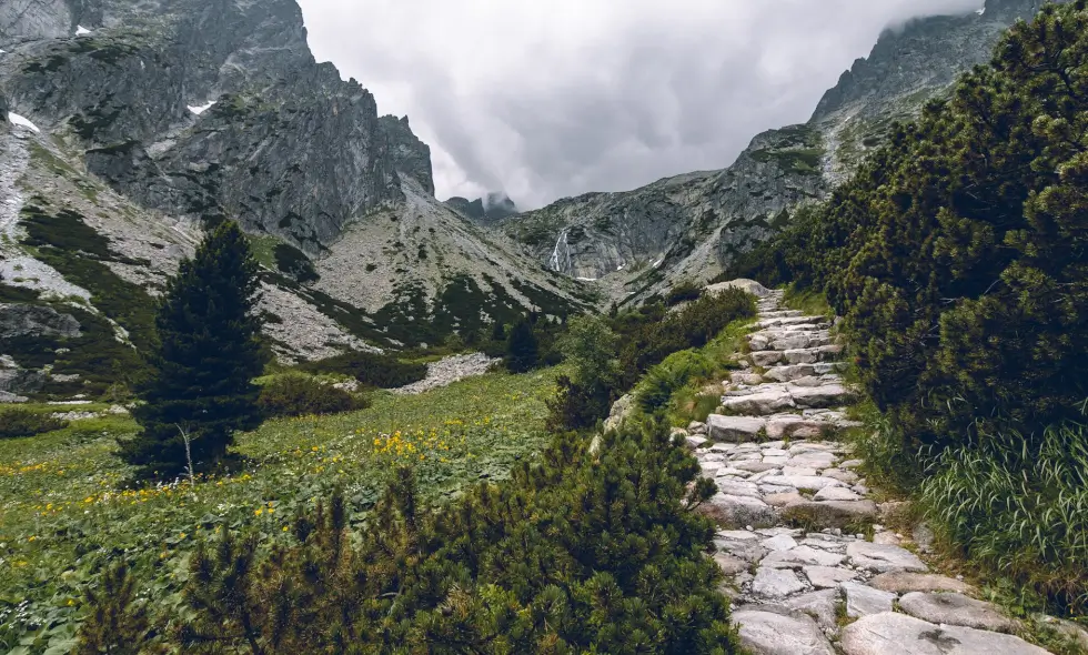 Divy Slovenska po dálnici