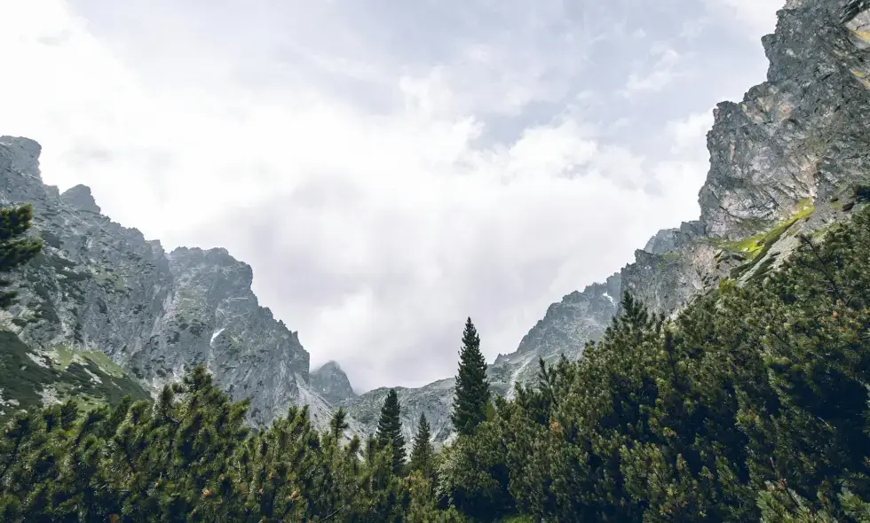 Slovakya'nın otoyolları ve mevcut varış noktaları