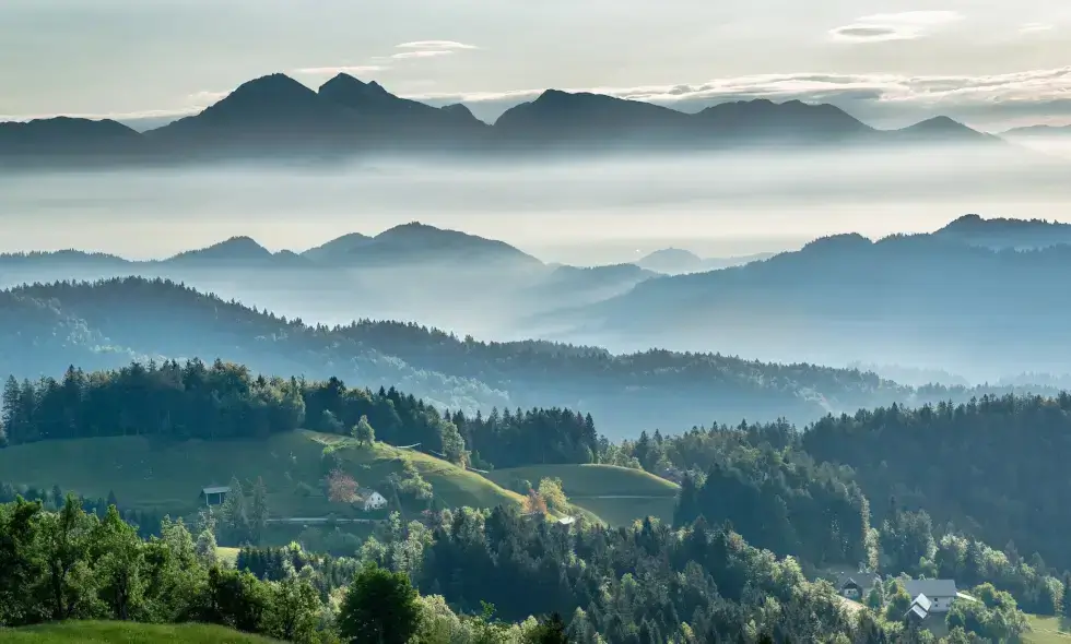 2024 Vinietă cumpăra Slovenia